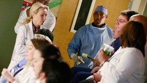 Grey’s Anatomy 11 x Episodio 19