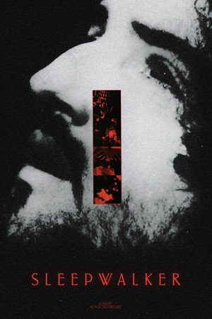 Sleepwalker 21