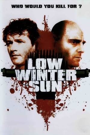 Poster Low Winter Sun 2006