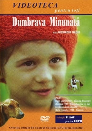 Poster Dumbrava minunată 1980