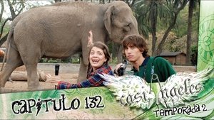 Épisode 132