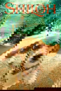 undefined image