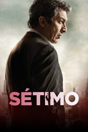 Poster Sétimo 2013