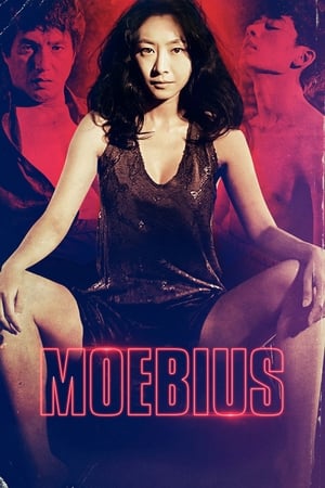 Poster Moebius 2013