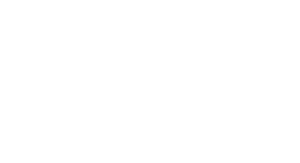 /wRGiGCRpzKy5VctLWmLPM3WfhP7.png