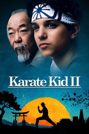 Image Karaté Kid II