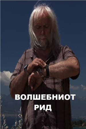 Волшебниот рид