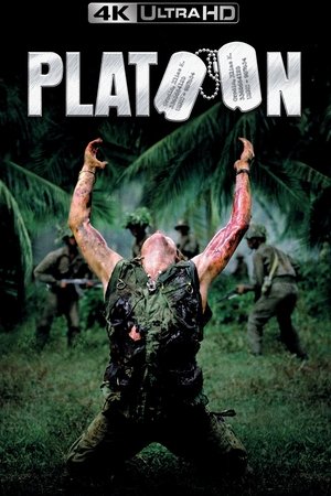 poster Platoon