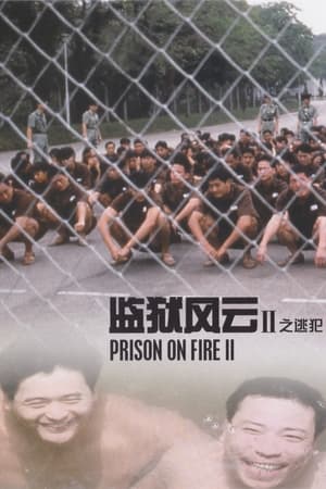Poster 监狱风云2：逃犯 1991