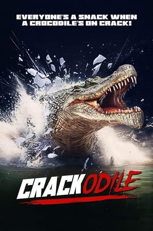 Poster Crackodile ()