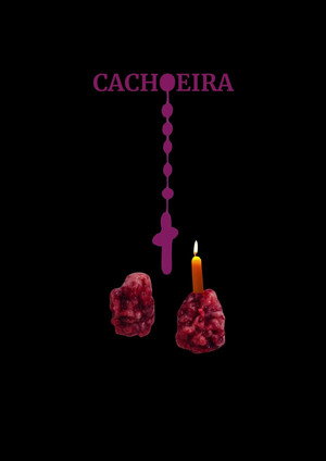 Cachoeira 6