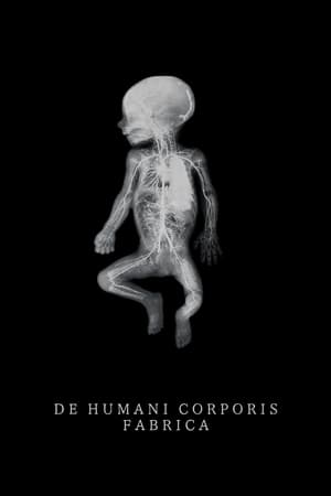 De Humani Corporis Fabrica 2023