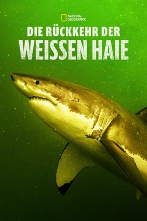 Poster Die Rückkehr der Weißen Haie 2023