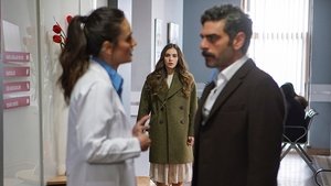 Jaula dorada Temporada 1 Capitulo 8