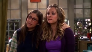 The Big Bang Theory 5 x Episodio 17