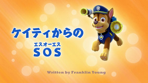 ケイティからのSOS