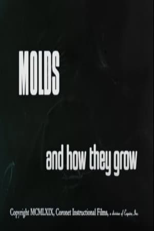 Image Molds and How They Grow