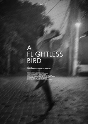 A Flightless Bird 3