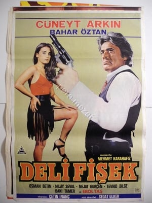 Deli Fişek poster