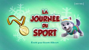 Paw Patrol Helfer auf vier Pfoten: 3×26