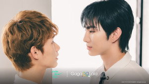 Smile After Tears ( 2026 )