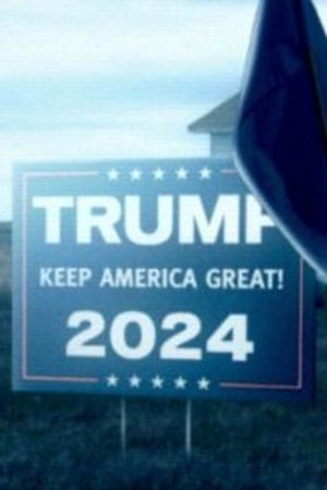 Poster God, Jesus, Trump! 2020