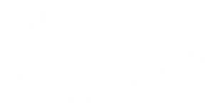 Жизнь сначала — Logos 1