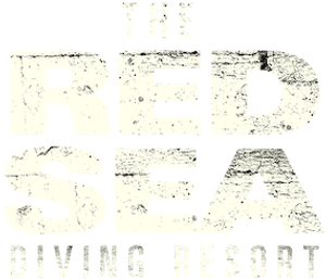 The Red Sea Diving Resort