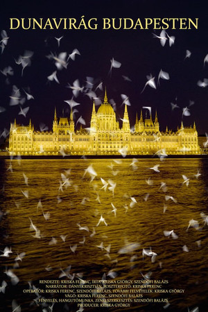 Dunavirág Budapesten