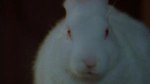 Goosebumps: 2×4 {year} Online En Netflix