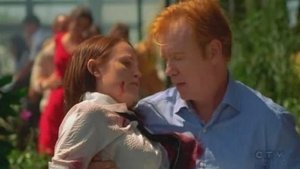 CSI: Miami 7 – Episodio 23