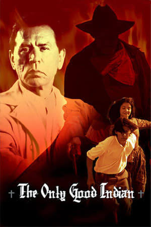 Poster The Only Good Indian 2009