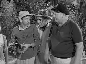 La isla de Gilligan: 1×28