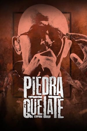 Poster Piedra que late (2013)