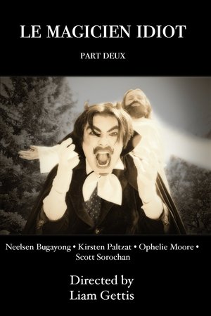 Le Magicien Idiot Part Deux