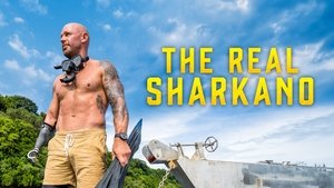 The Real Sharkano | StreamHub