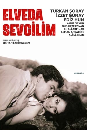 Poster Elveda Sevgilim 1965