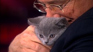 The Colbert Report: 10×24