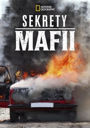 Sekrety mafii