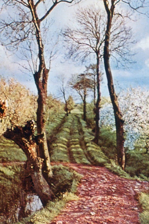 As It Was Revealed Unto Jeroen Eisinga (1998)