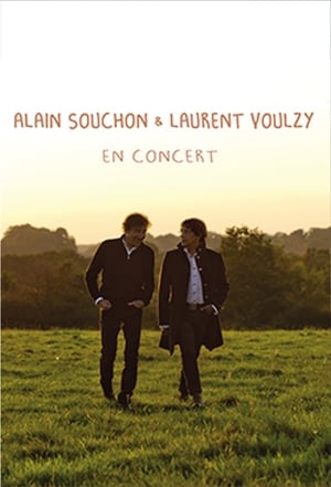 Poster Voulzy Souchon - Le Concert 2016