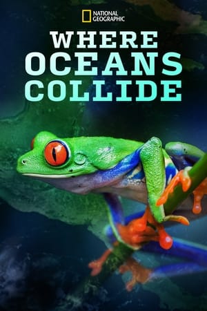 Poster Where Oceans Collide (2018)