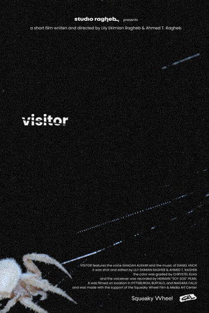 Visitor