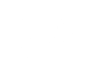 The Other Side — Logos 6