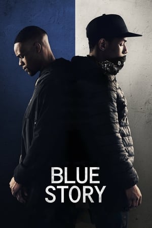 Poster Kék Történet 2019