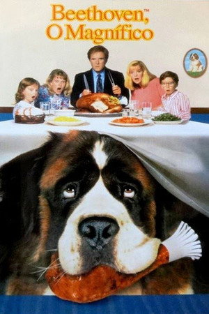 Beethoven 27
