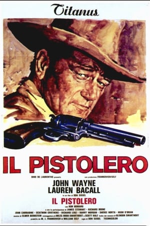 Poster di Il pistolero