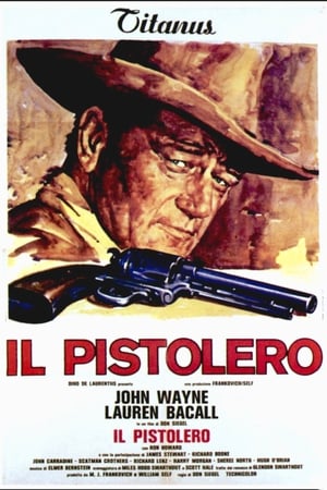 Poster Il pistolero 1976