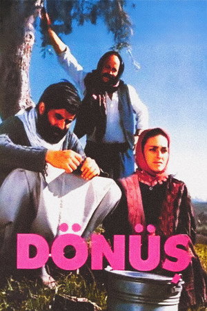 Dönüş 3