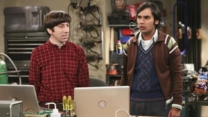 The Big Bang Theory Temporada 9 Capitulo 24